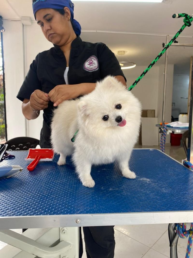 Peluquería Comercial